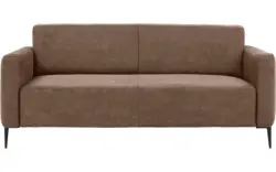 Microleer, lever